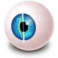 Opthalmology
