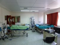 pacu